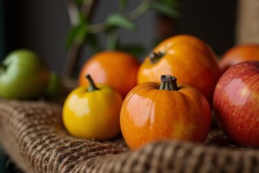 Découvrez les fruits délicieux dont le nom débute par la lettre R