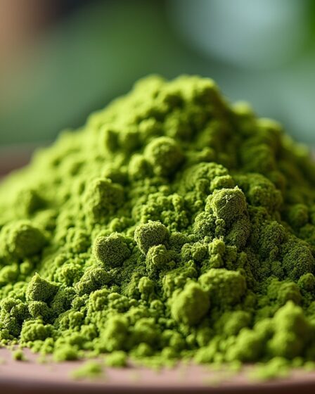Matcha : comprendre les distinctions entre cérémonie, premium et culinaire