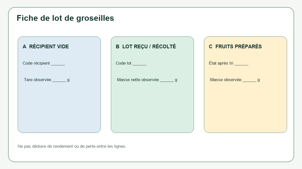 Fiche de suivi d’un lot de groseilles distinguant récipient vide, fruits reçus ou récoltés, puis fruits préparés et masses observées.